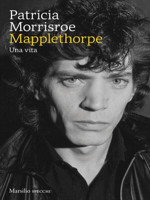 cover image of Mapplethorpe